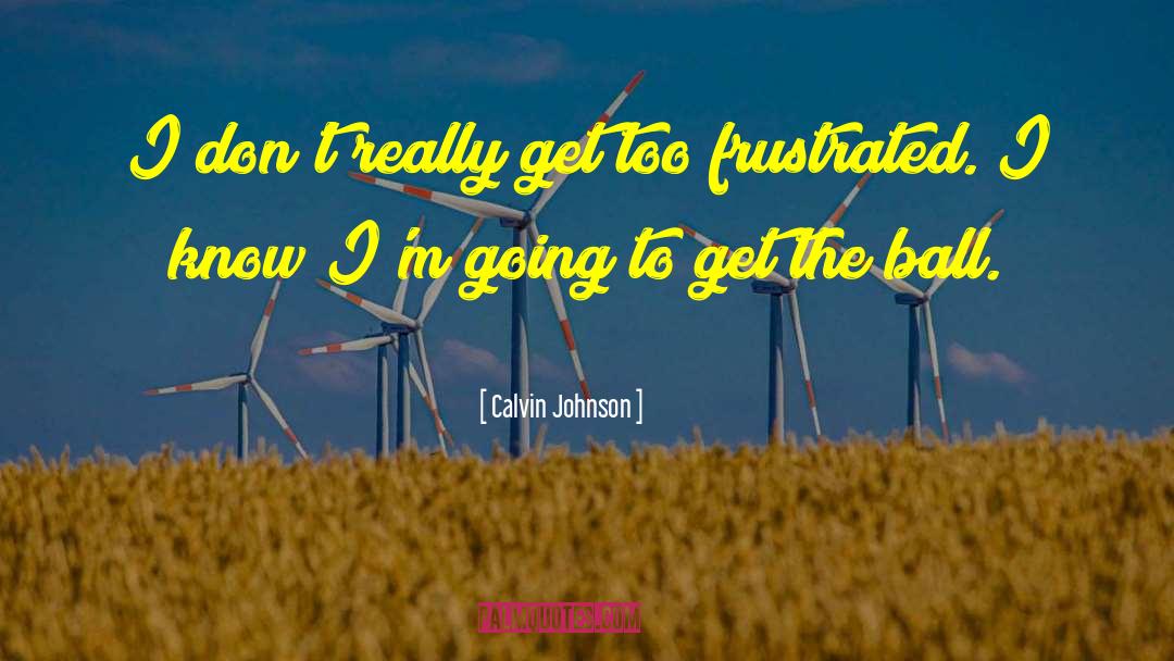 Calvin Johnson Quotes: I don't really get too