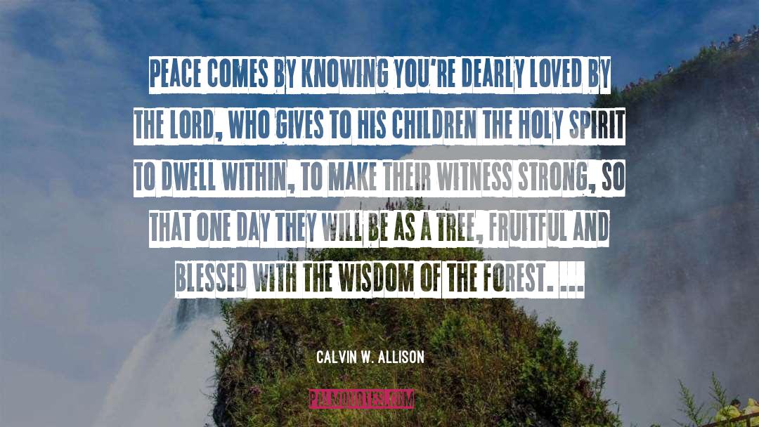Calvin W. Allison Quotes: Peace comes by knowing you're