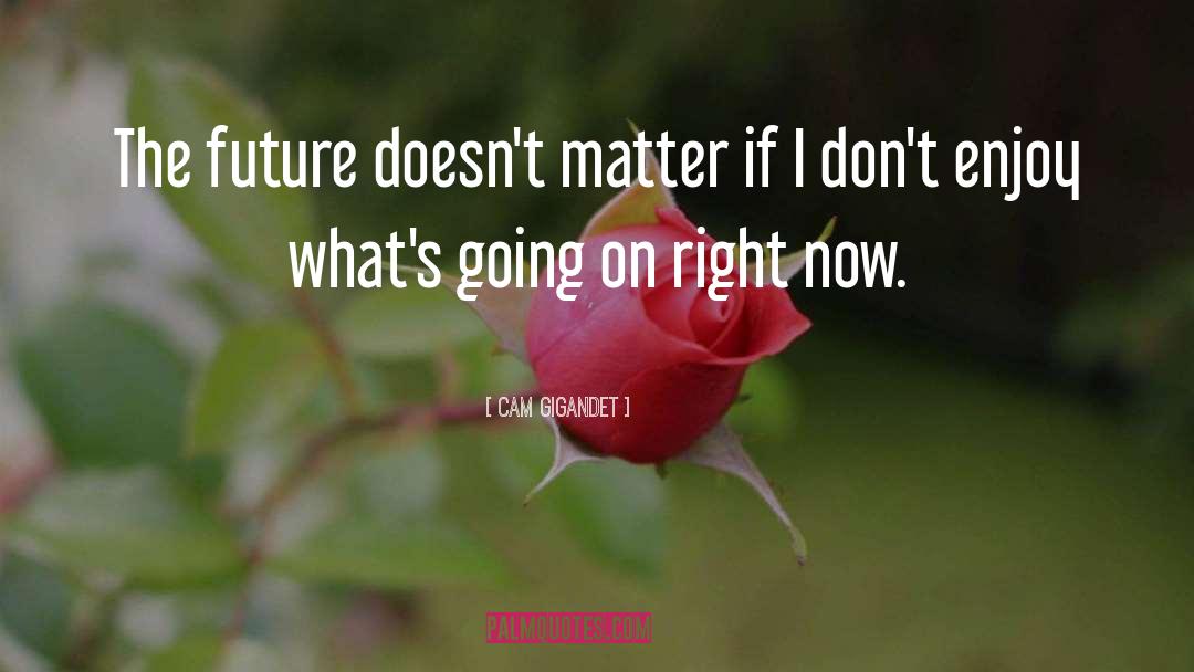 Cam Gigandet Quotes: The future doesn't matter if