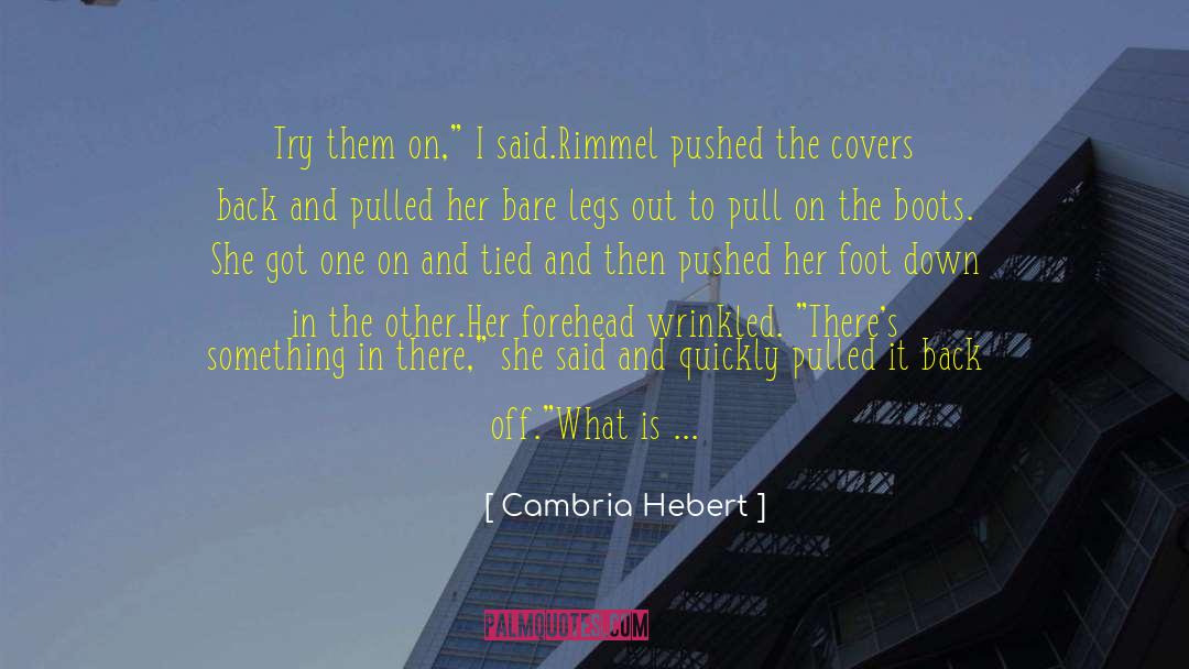 Cambria Hebert Quotes: Try them on,