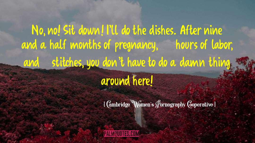Cambridge Women's Pornography Cooperative Quotes: No, no! Sit down! I'll