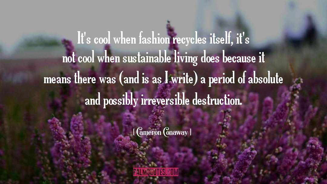 Cameron Conaway Quotes: It's cool when fashion recycles