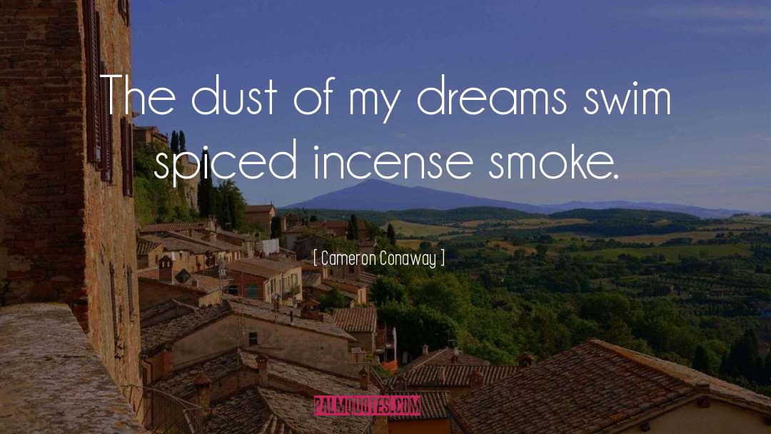 Cameron Conaway Quotes: The dust of my dreams