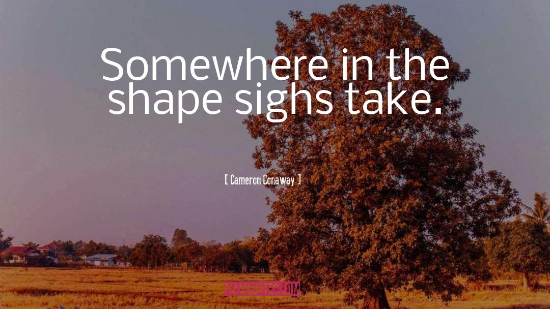 Cameron Conaway Quotes: Somewhere in the shape sighs