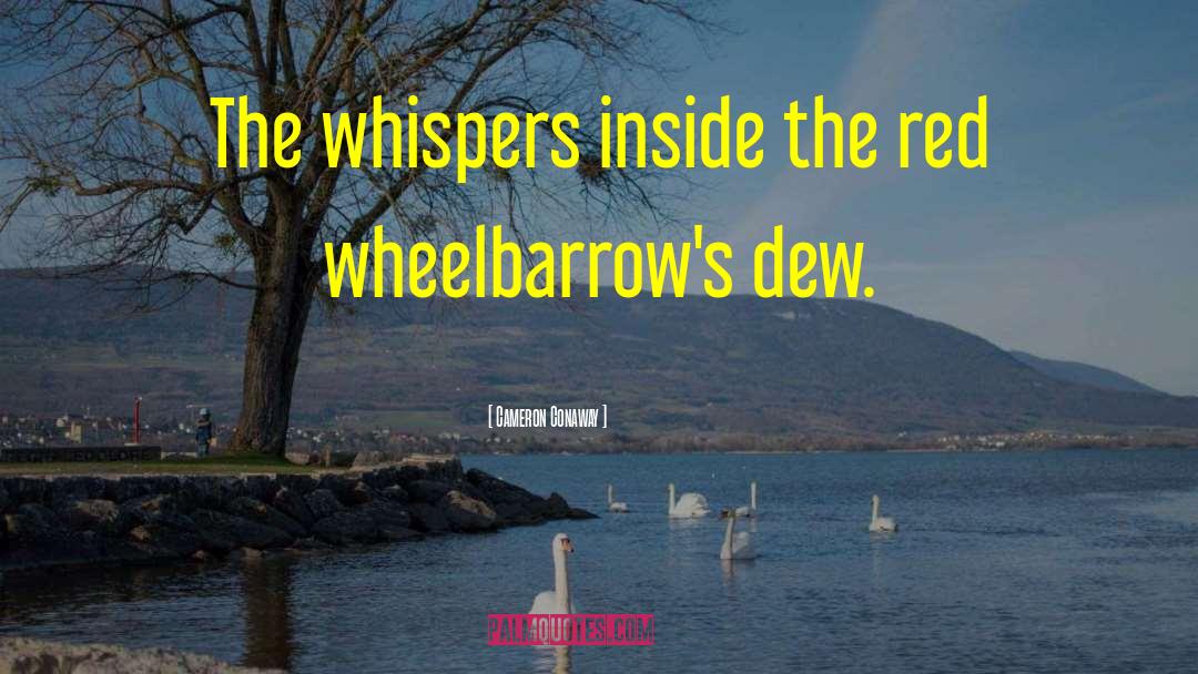 Cameron Conaway Quotes: The whispers inside the red