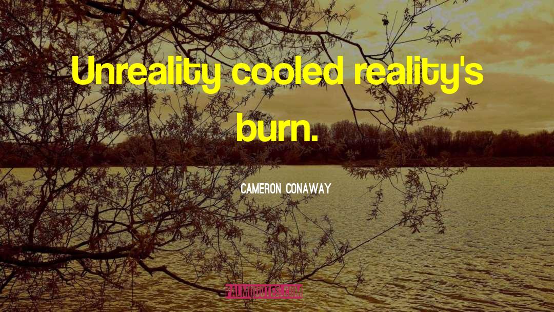 Cameron Conaway Quotes: Unreality cooled reality's burn.