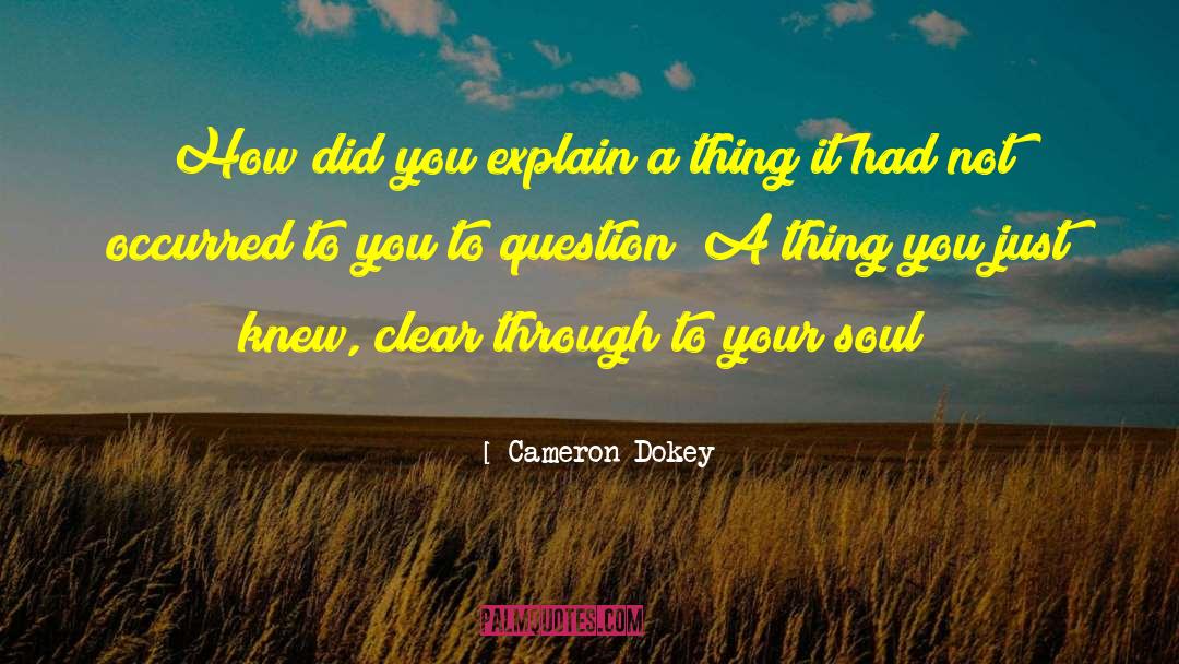 Cameron Dokey Quotes: How did you explain a
