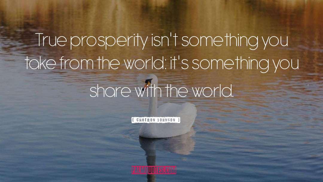 Cameron Johnson Quotes: True prosperity isn't something you