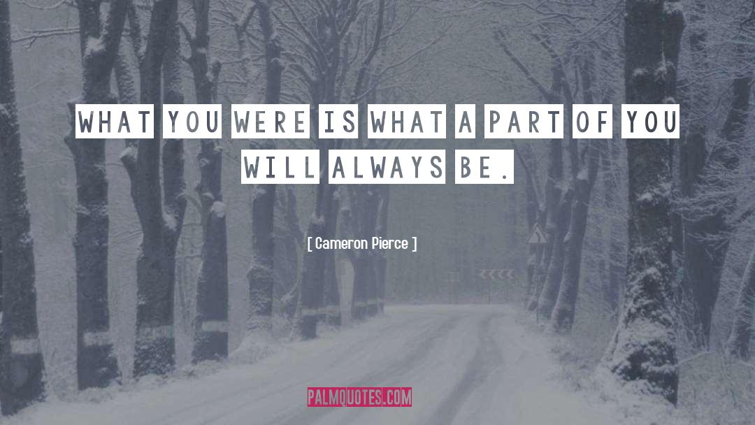 Cameron Pierce Quotes: What you were is what