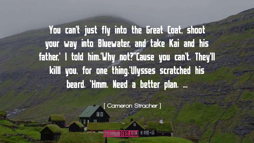 Cameron Stracher Quotes: You can't just fly into