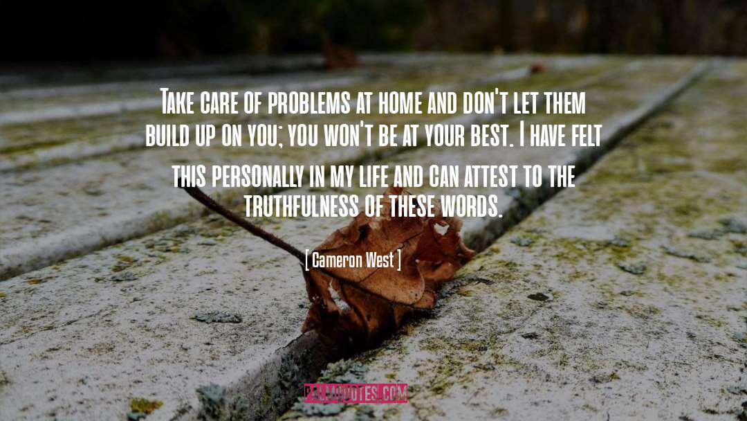 Cameron West Quotes: Take care of problems at
