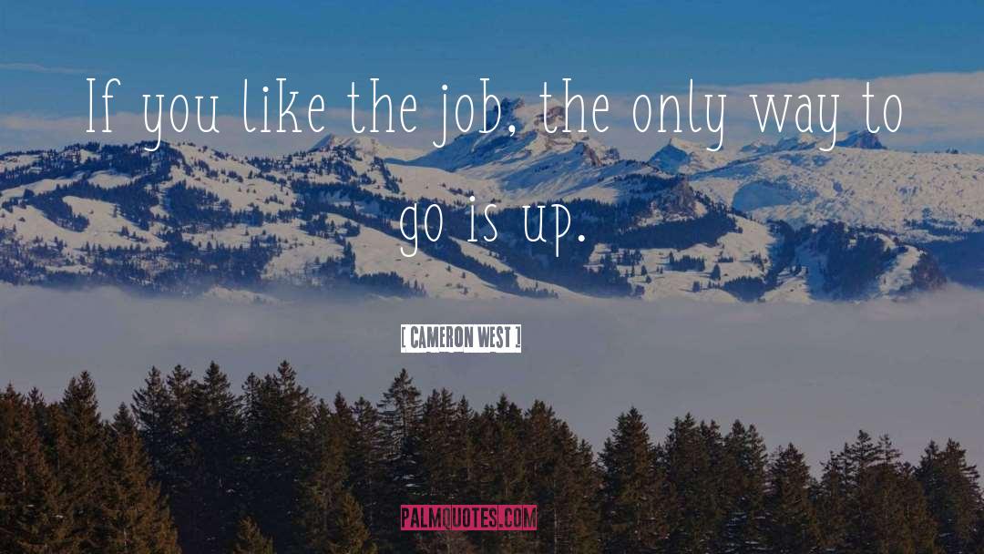 Cameron West Quotes: If you like the job,