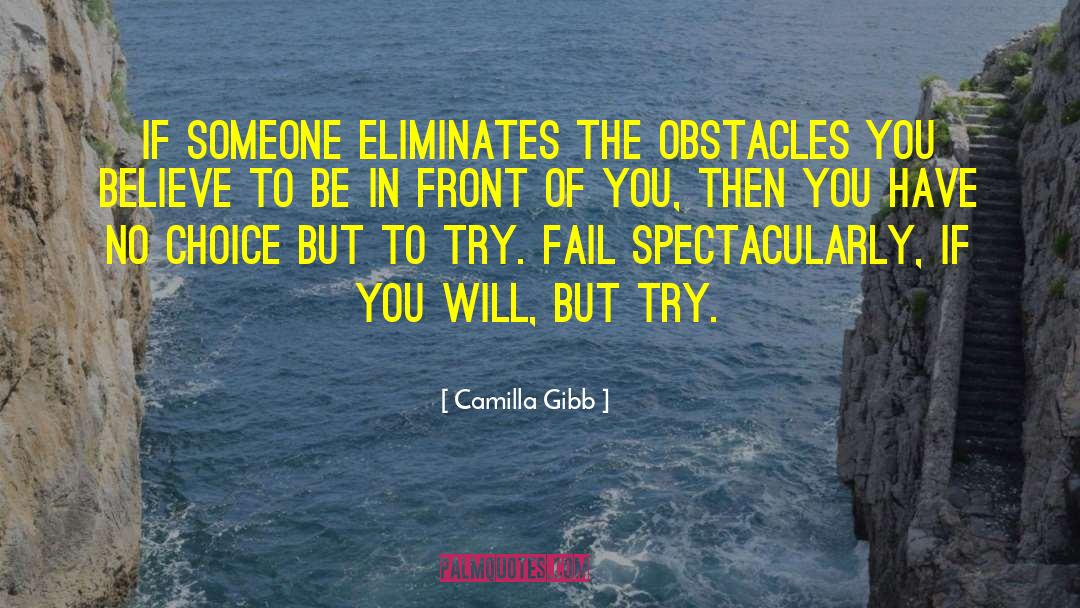 Camilla Gibb Quotes: If someone eliminates the obstacles