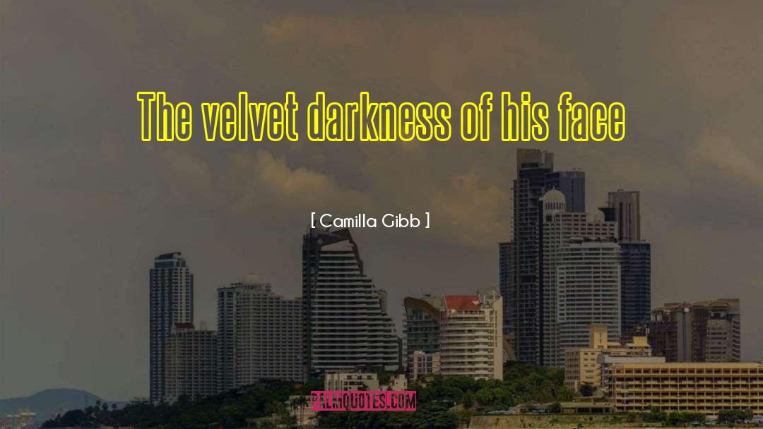 Camilla Gibb Quotes: The velvet darkness of his