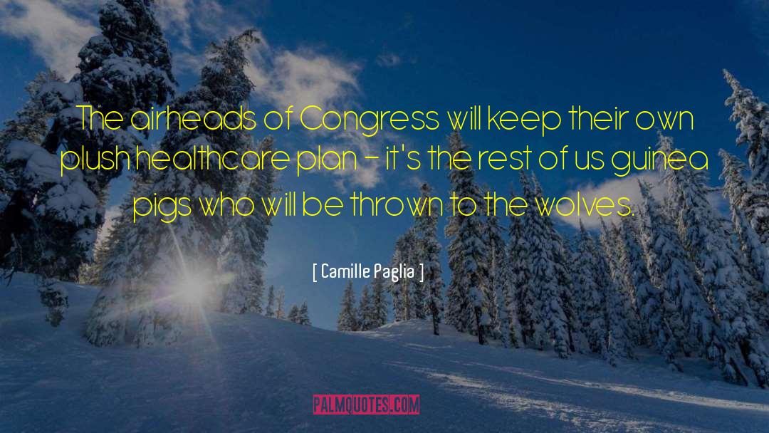 Camille Paglia Quotes: The airheads of Congress will