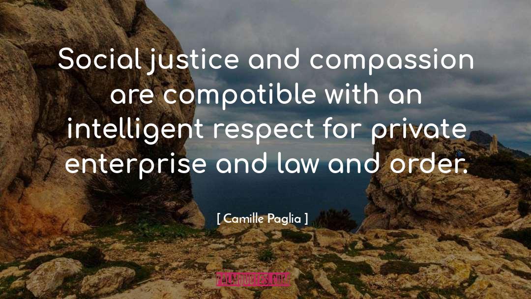 Camille Paglia Quotes: Social justice and compassion are
