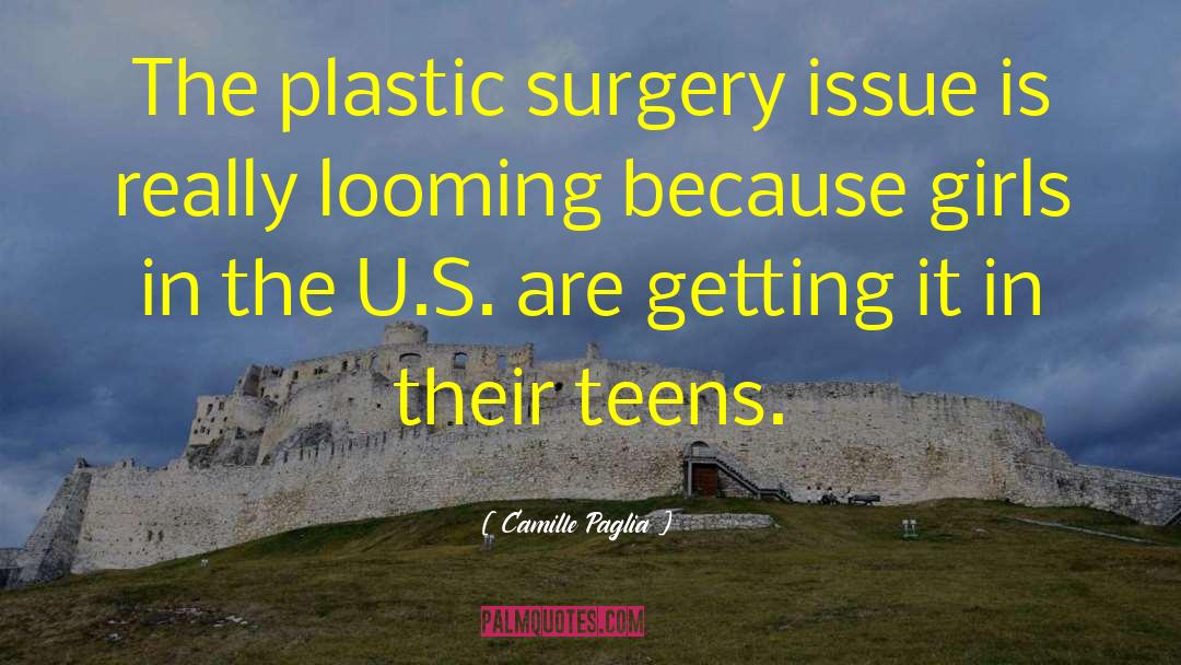 Camille Paglia Quotes: The plastic surgery issue is