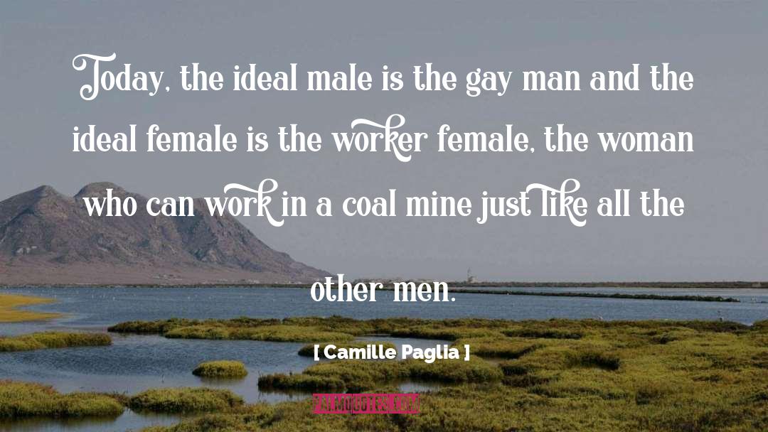 Camille Paglia Quotes: Today, the ideal male is