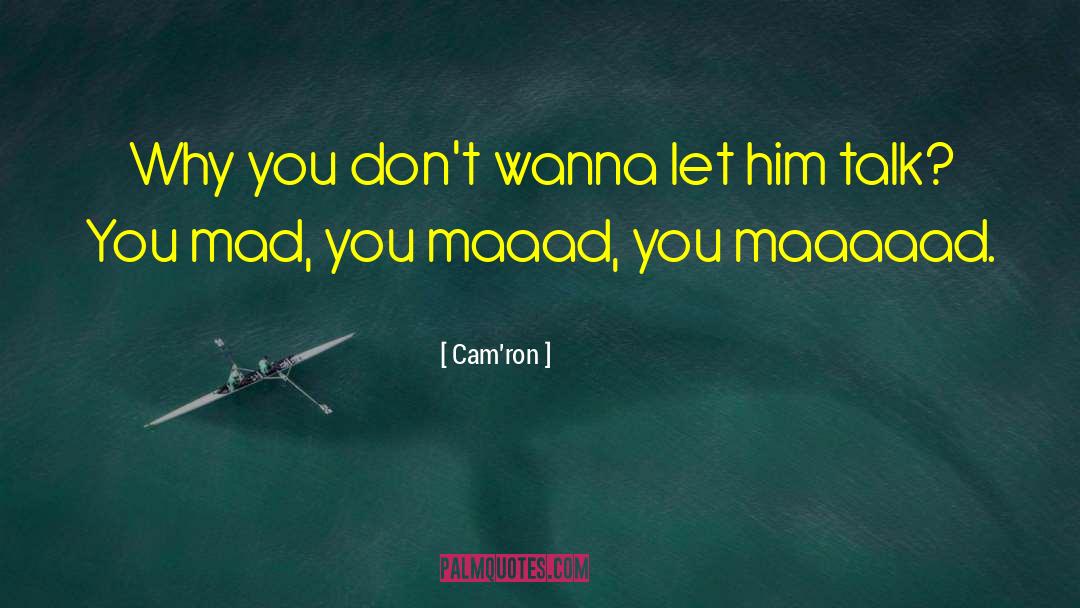 Cam'ron Quotes: Why you don't wanna let