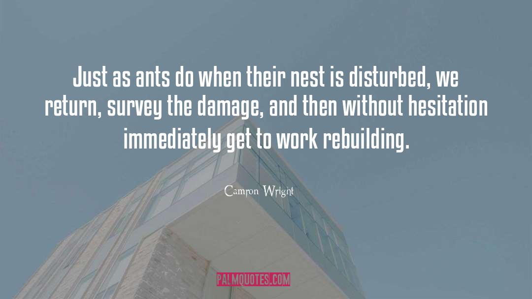 Camron Wright Quotes: Just as ants do when