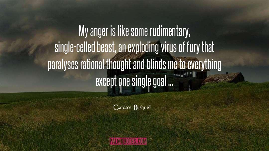 Candace Bushnell Quotes: My anger is like some