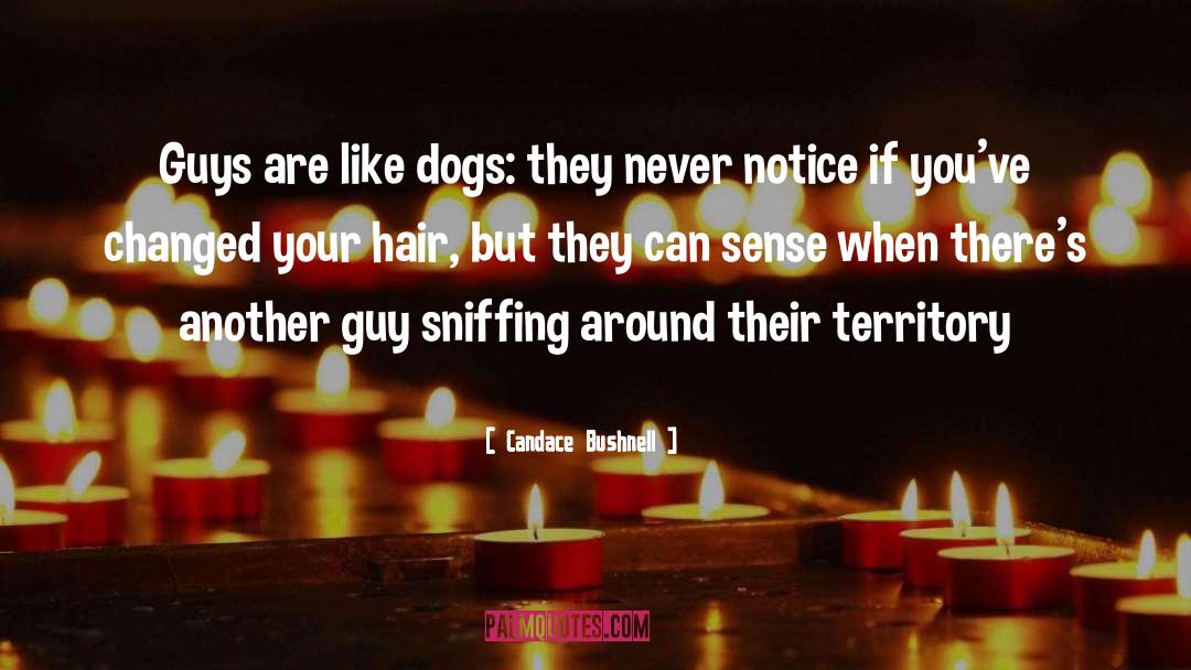 Candace Bushnell Quotes: Guys are like dogs: they