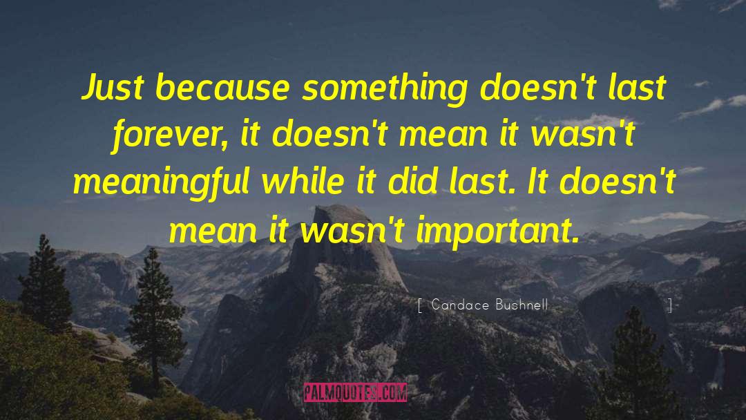 Candace Bushnell Quotes: Just because something doesn't last