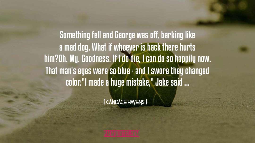 Candace Havens Quotes: Something fell and George was