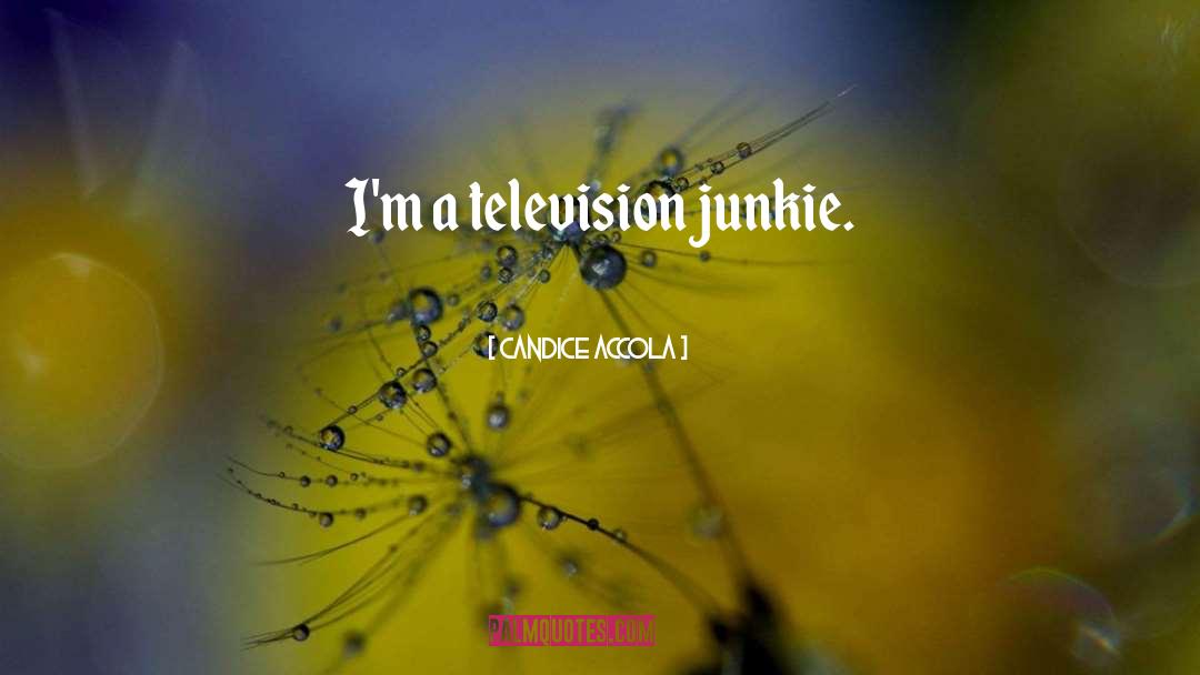 Candice Accola Quotes: I'm a television junkie.