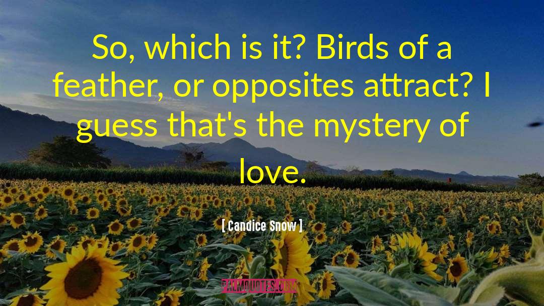 Candice Snow Quotes: So, which is it? Birds