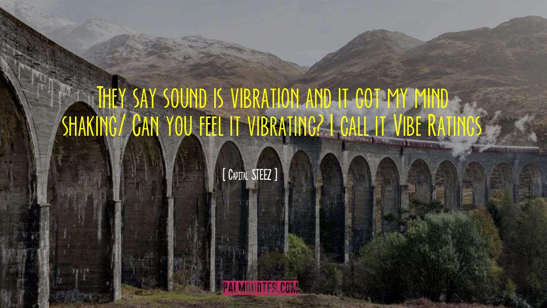 Capital STEEZ Quotes: They say sound is vibration