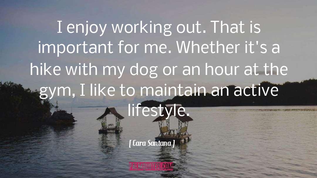 Cara Santana Quotes: I enjoy working out. That