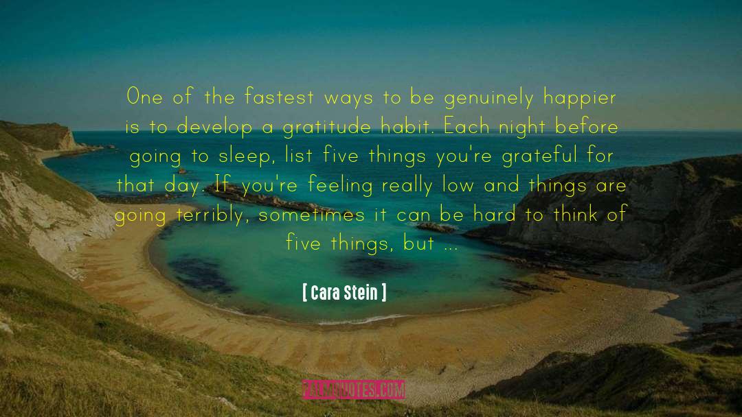 Cara Stein Quotes: One of the fastest ways