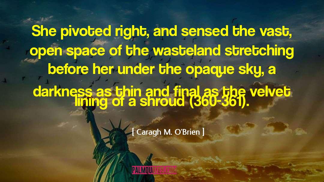 Caragh M. O'Brien Quotes: She pivoted right, and sensed