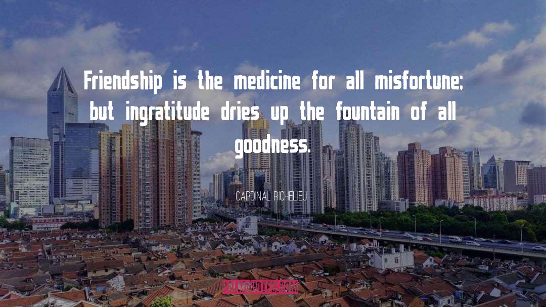 Cardinal Richelieu Quotes: Friendship is the medicine for