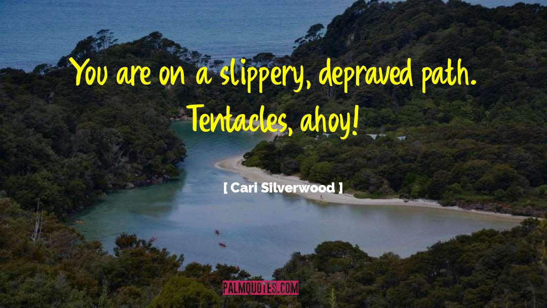 Cari Silverwood Quotes: You are on a slippery,