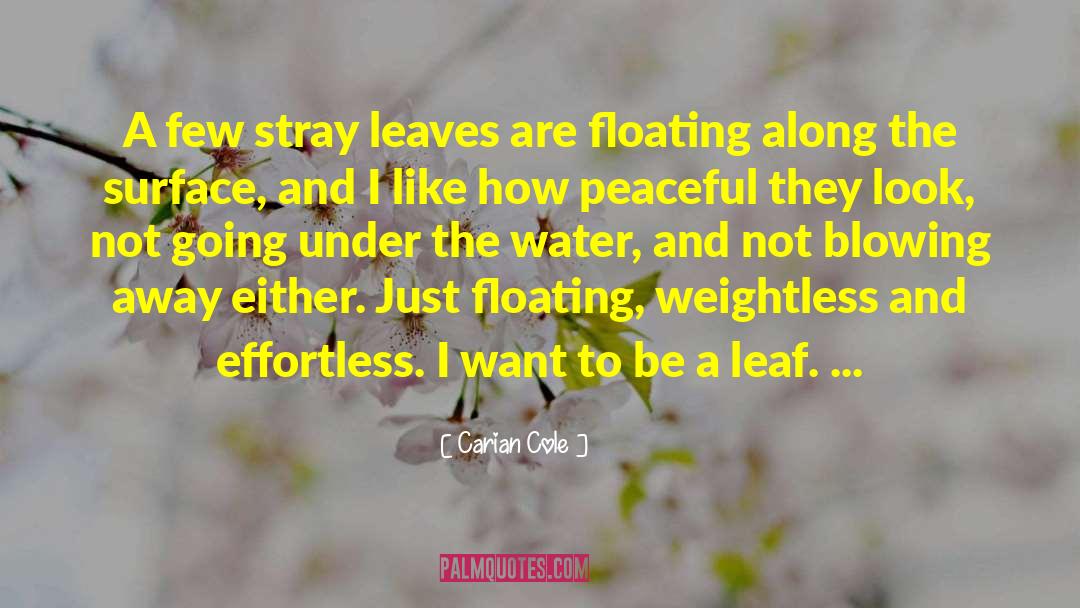 Carian Cole Quotes: A few stray leaves are