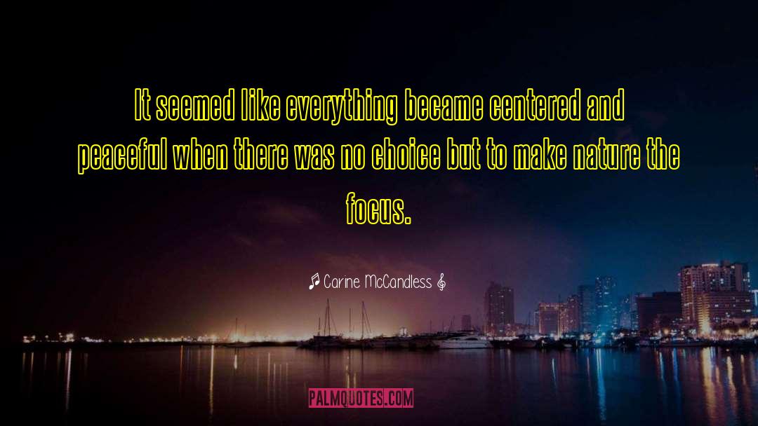 Carine McCandless Quotes: It seemed like everything became