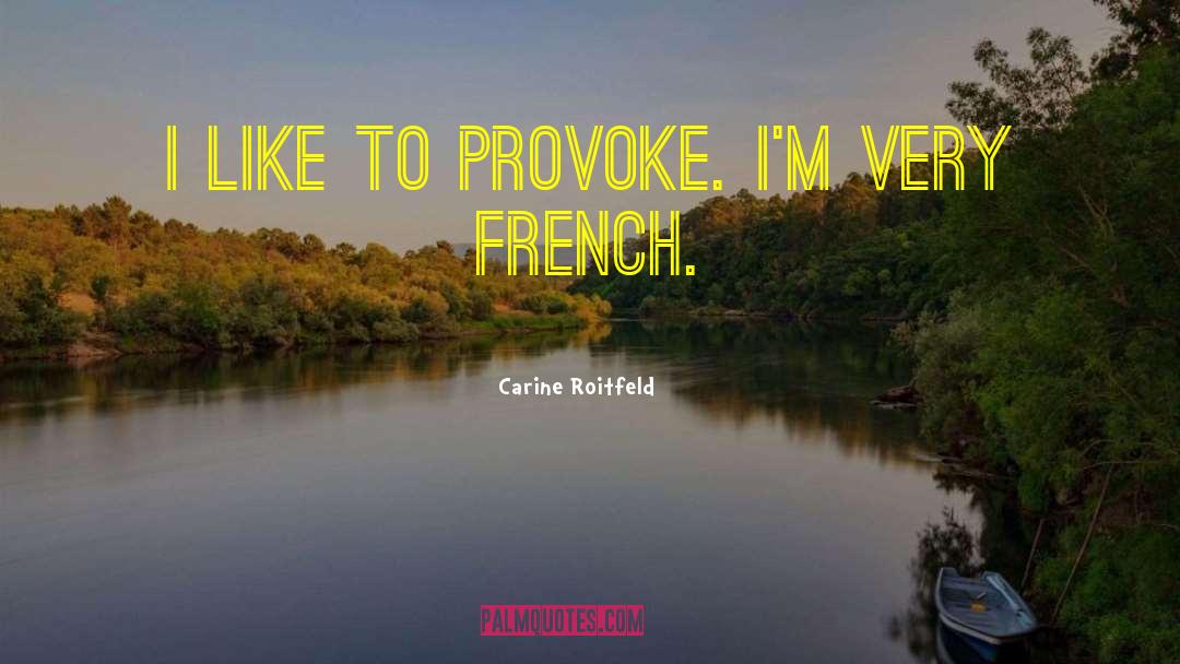 Carine Roitfeld Quotes: I like to provoke. I'm