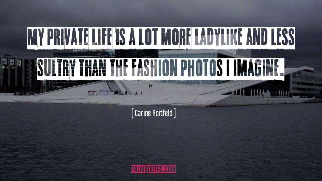 Carine Roitfeld Quotes: My private life is a