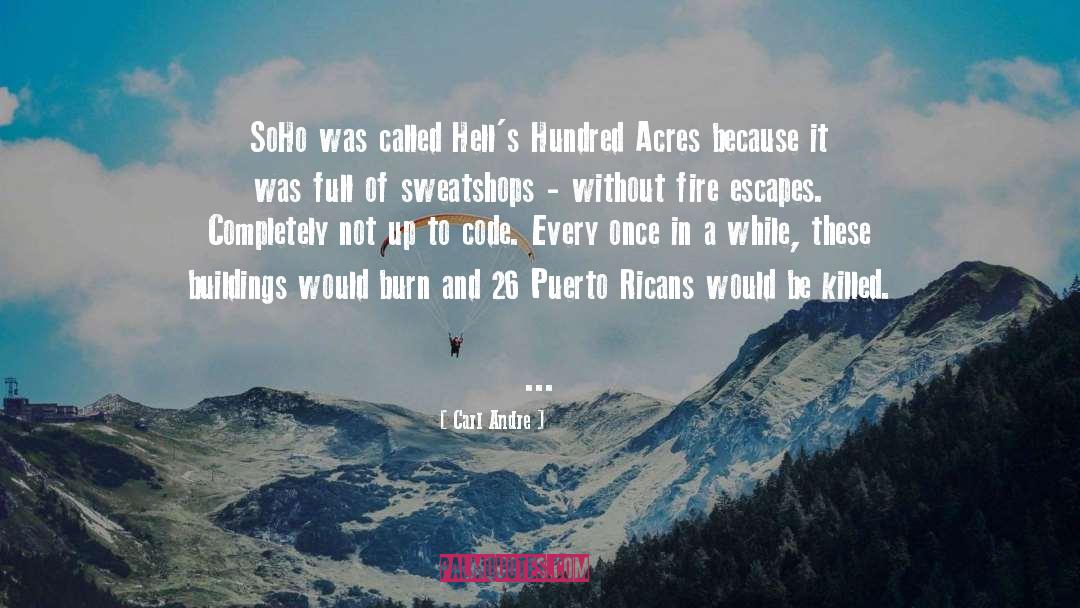 Carl Andre Quotes: SoHo was called Hell's Hundred
