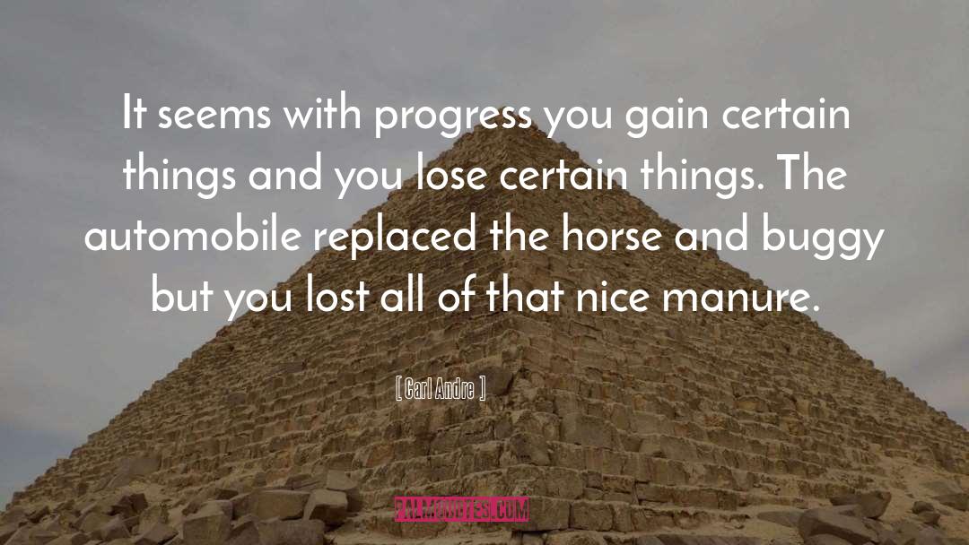 Carl Andre Quotes: It seems with progress you