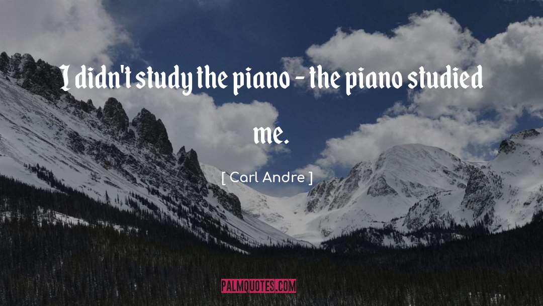 Carl Andre Quotes: I didn't study the piano