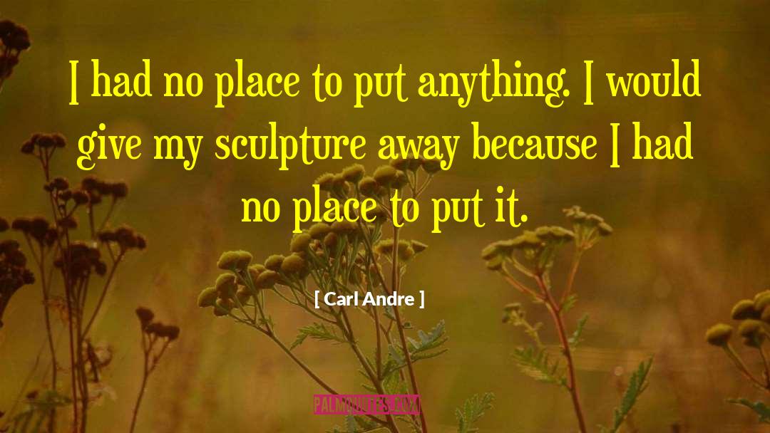 Carl Andre Quotes: I had no place to