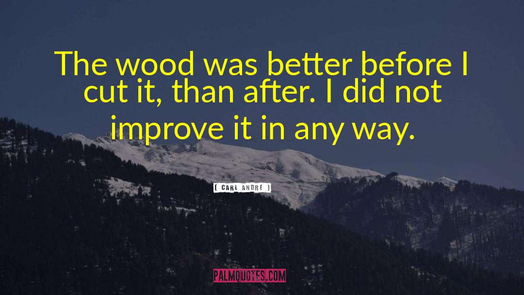 Carl Andre Quotes: The wood was better before