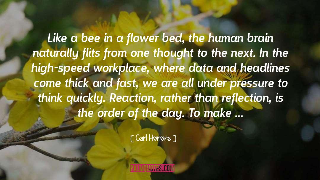 Carl Honore Quotes: Like a bee in a