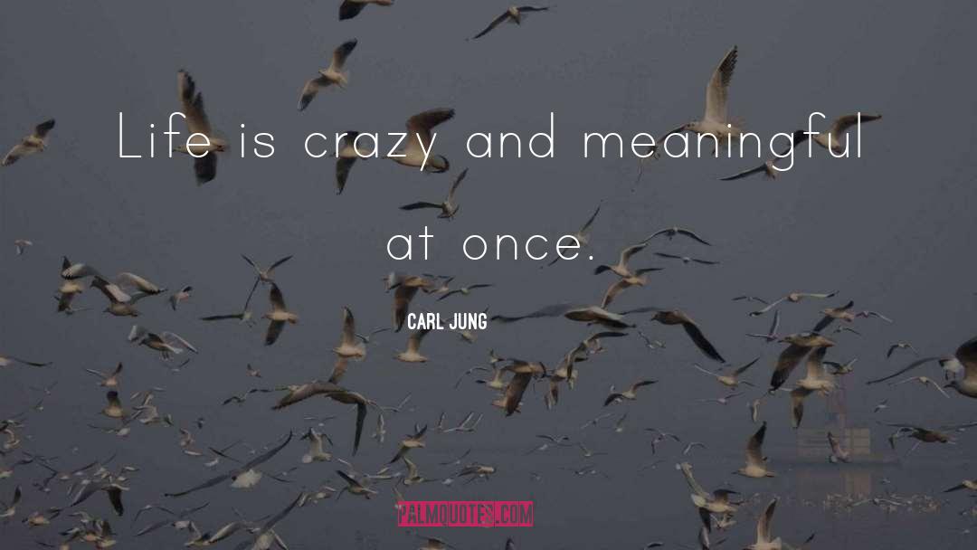 Carl Jung Quotes: Life is crazy and meaningful