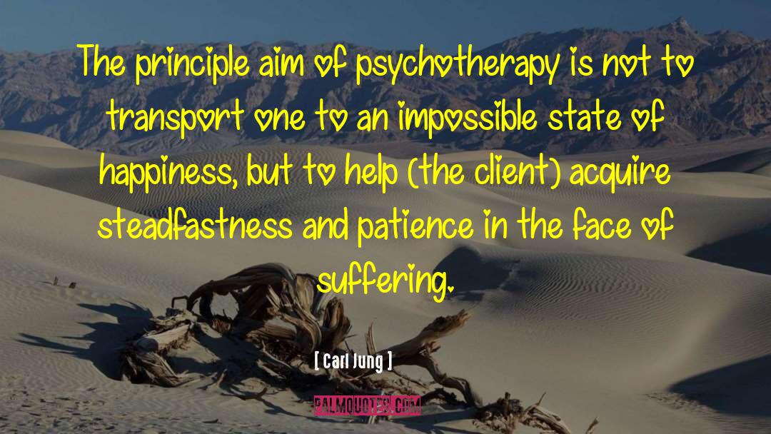 Carl Jung Quotes: The principle aim of psychotherapy