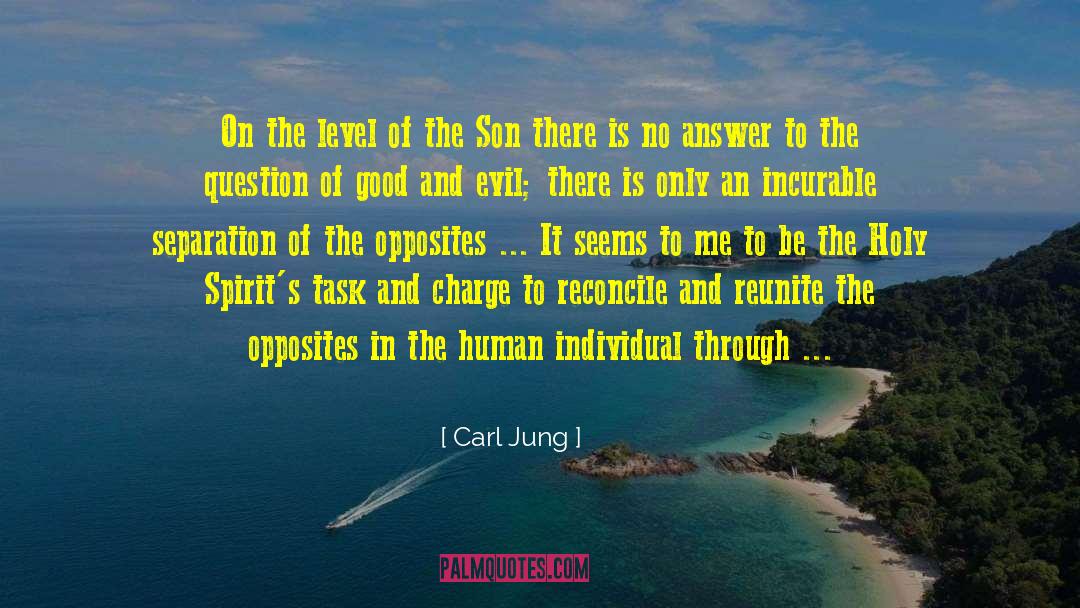 Carl Jung Quotes: On the level of the