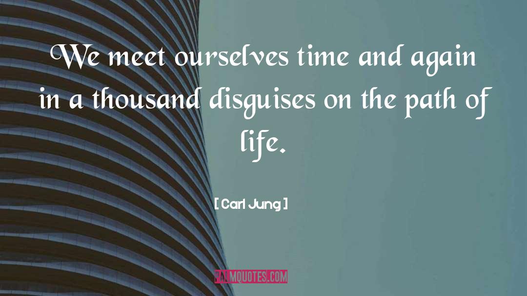 Carl Jung Quotes: We meet ourselves time and